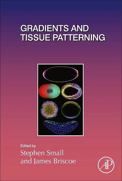 Gradients and Tissue Patterning