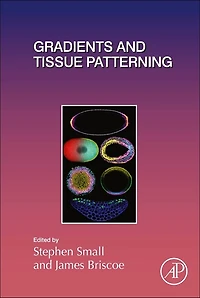 Gradients and Tissue Patterning