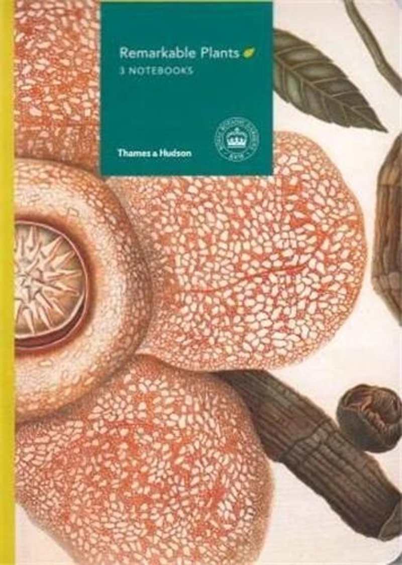 Remarkable Plants: Mini Notebooks: Set Of 3
