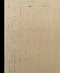 Antoni Tapies: Lo Sguardo dell'Artista