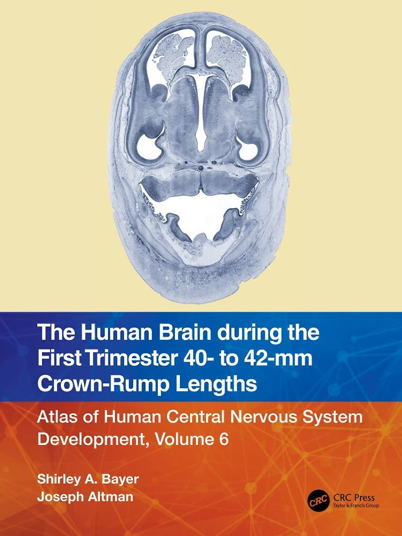 the Human Brain during First Trimester 40- to 42-mm Crown-Rump Lengths: Atlas of Central Nervous System Development, Volume 6