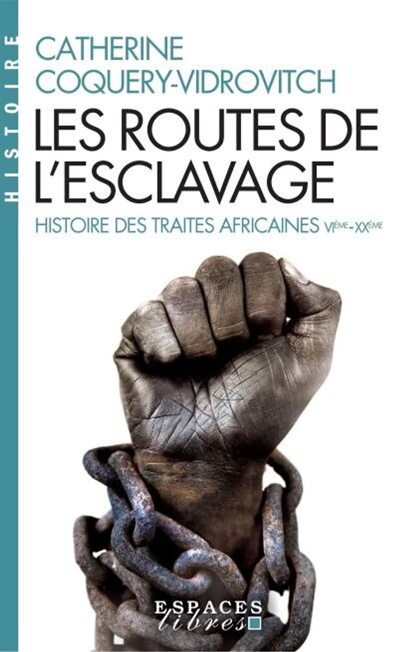 Les routes de l'esclavage: histoire des traites africaines, VIe-XXe siècle