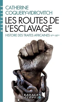 Les routes de l'esclavage: histoire des traites africaines, VIe-XXe siècle