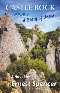 A Story of Jesus