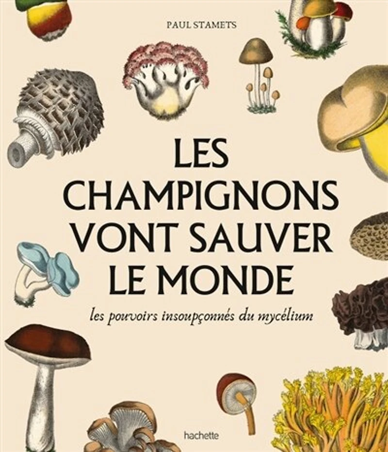 les champignons vont sauver le monde : pouvoirs insoupçonnés du mycélium: mycélium