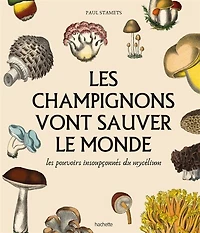les champignons vont sauver le monde : pouvoirs insoupçonnés du mycélium: mycélium