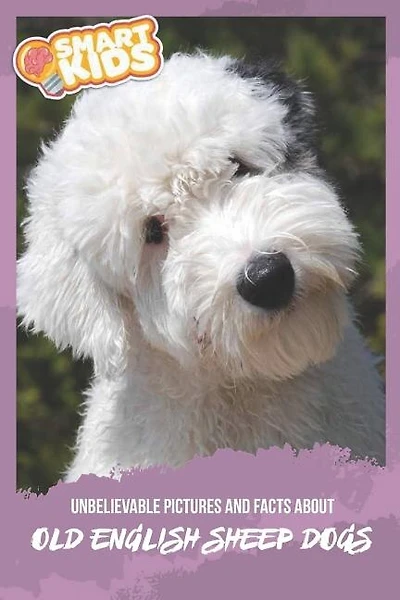 Unbelievable Pictures and Facts About Old English Sheepdogs