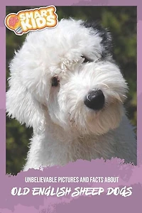 Unbelievable Pictures and Facts About Old English Sheepdogs