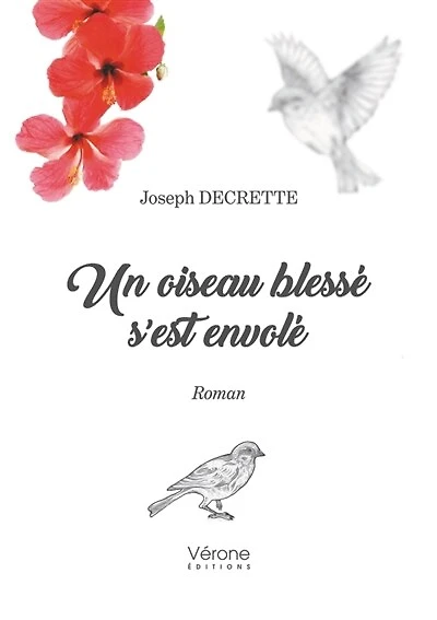 Un oiseau blessé s'est envolé