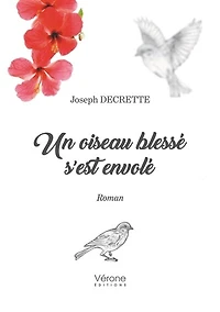 Un oiseau blessé s'est envolé