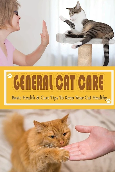 General Cat Care: Basic Health & Care Tips To Keep Your Cat Healthy: Tips On Caring For Your Cat