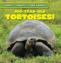 100-Year-Old Tortoises