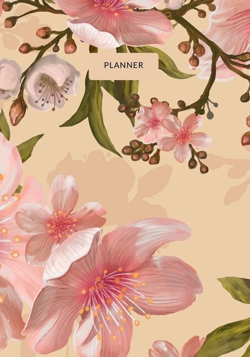 Planner: Start Anytime Undated 52 Week Planner For Efficiency & Productivity, Organizer for Goal-setting, Task Management, Budget Tracking, Daily / Weekly Planning, Creative Thinking & Self-Care