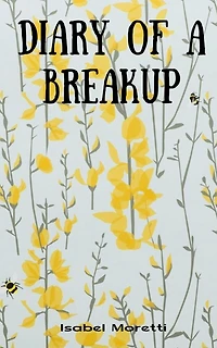 Diary of a Breakup