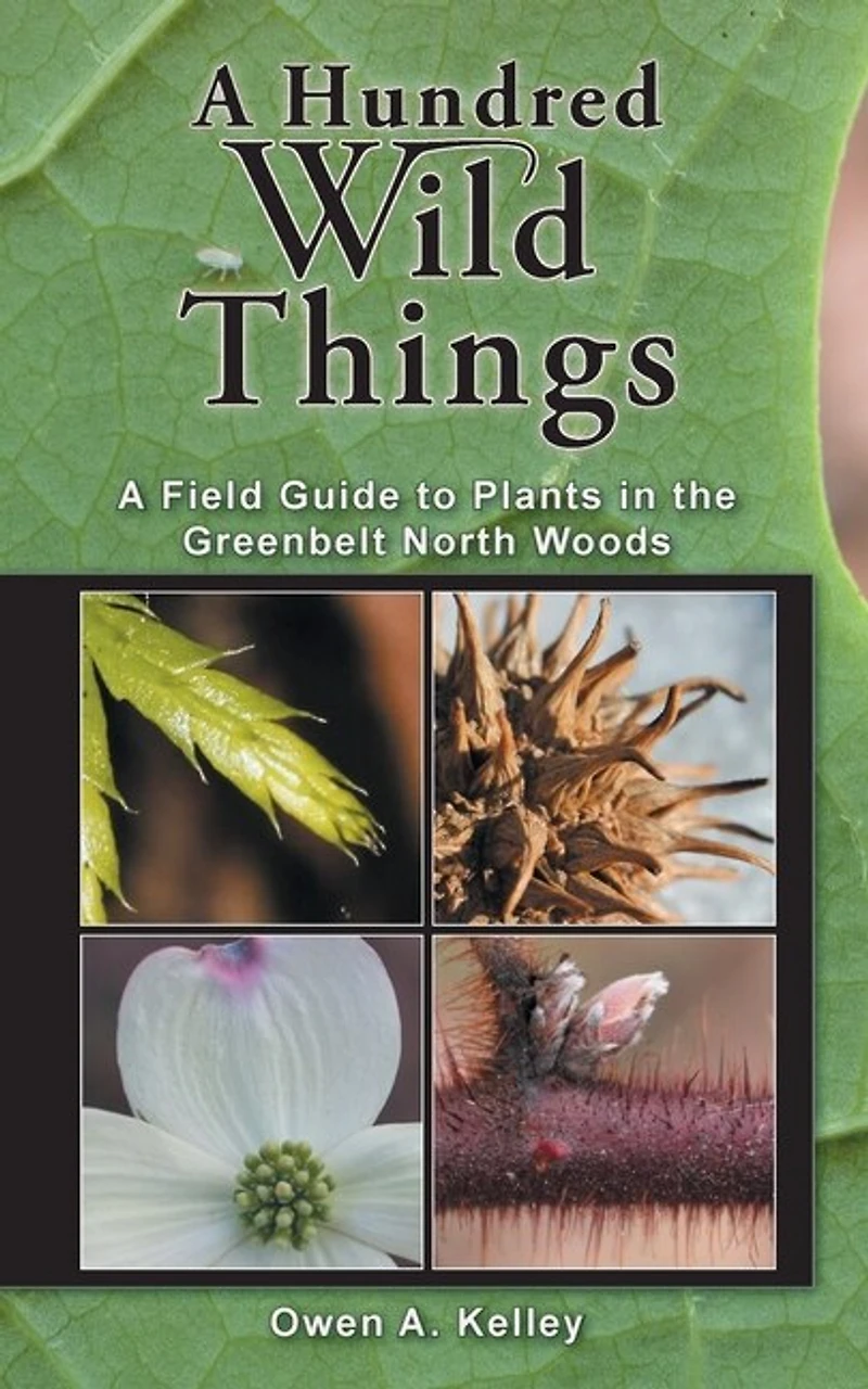 A Hundred Wild Things: A Field Guide to Plants in the Greenbelt North Woods