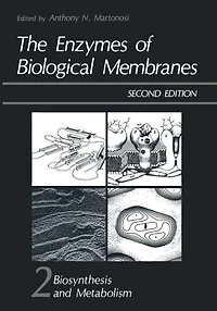The Enzymes Of Biological Membranes: Volume 2 Biosynthesis And Metabolism