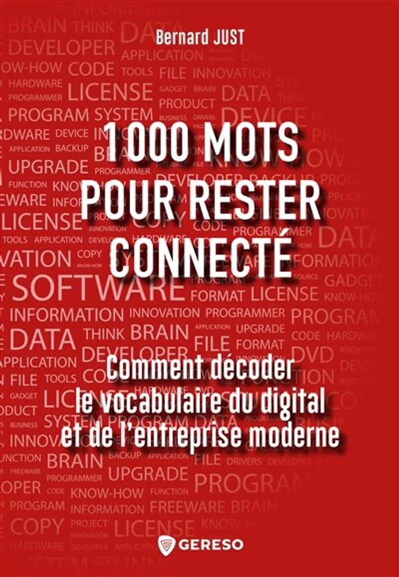 1.000 mots pour rester connecté: comment décoder le vocabulaire du digital et de l'entreprise moderne