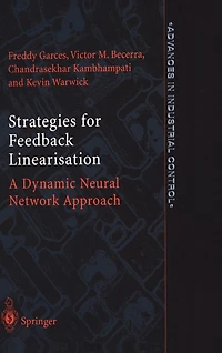 Strategies For Feedback Linearisation: A Dynamic Neural Network Approach