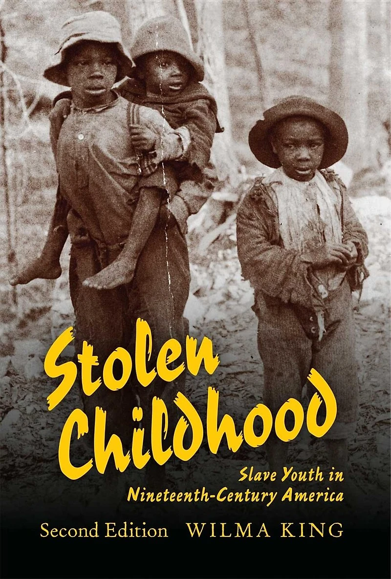 Stolen Childhood, Second Edition: Slave Youth Nineteenth-century America