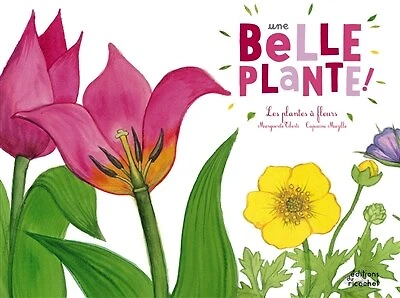 Une belle plante ! : les plantes à fleurs: les plantes à fleurs