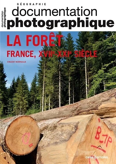 Documentation photographique (La), n°8150. La forêt : France, XVII-XXIe siècle: France, XVII-XXIe siècle
