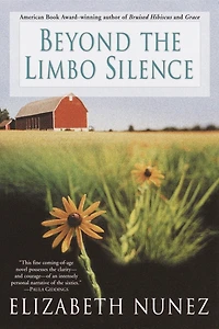 Beyond The Limbo Silence