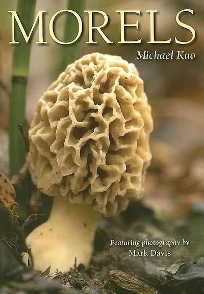 Morels