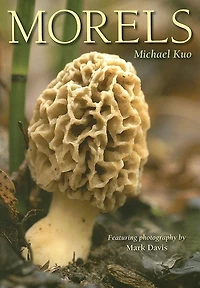 Morels