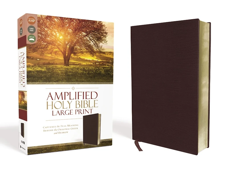 Amplified Holy Bible, Large Print, Leathersoft, Purple: Captures the Full Meaning Behind Original Greek and Hebrew