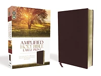 Amplified Holy Bible, Large Print, Leathersoft, Purple: Captures the Full Meaning Behind Original Greek and Hebrew