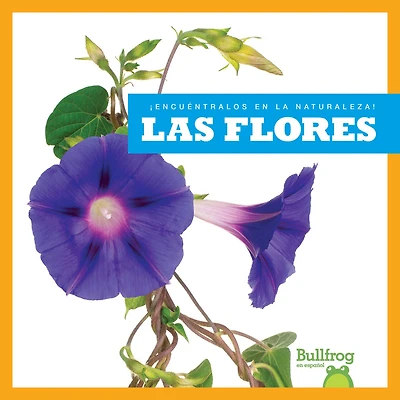 Las Las Flores (Flowers)