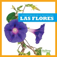 Las Las Flores (Flowers)