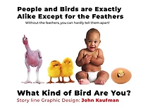 People And Birds Are Exactly Alike Except For The Feathers: What Kind of Bird Are You?