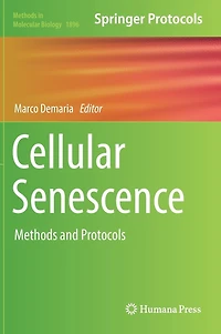 Cellular Senescence: Methods And Protocols