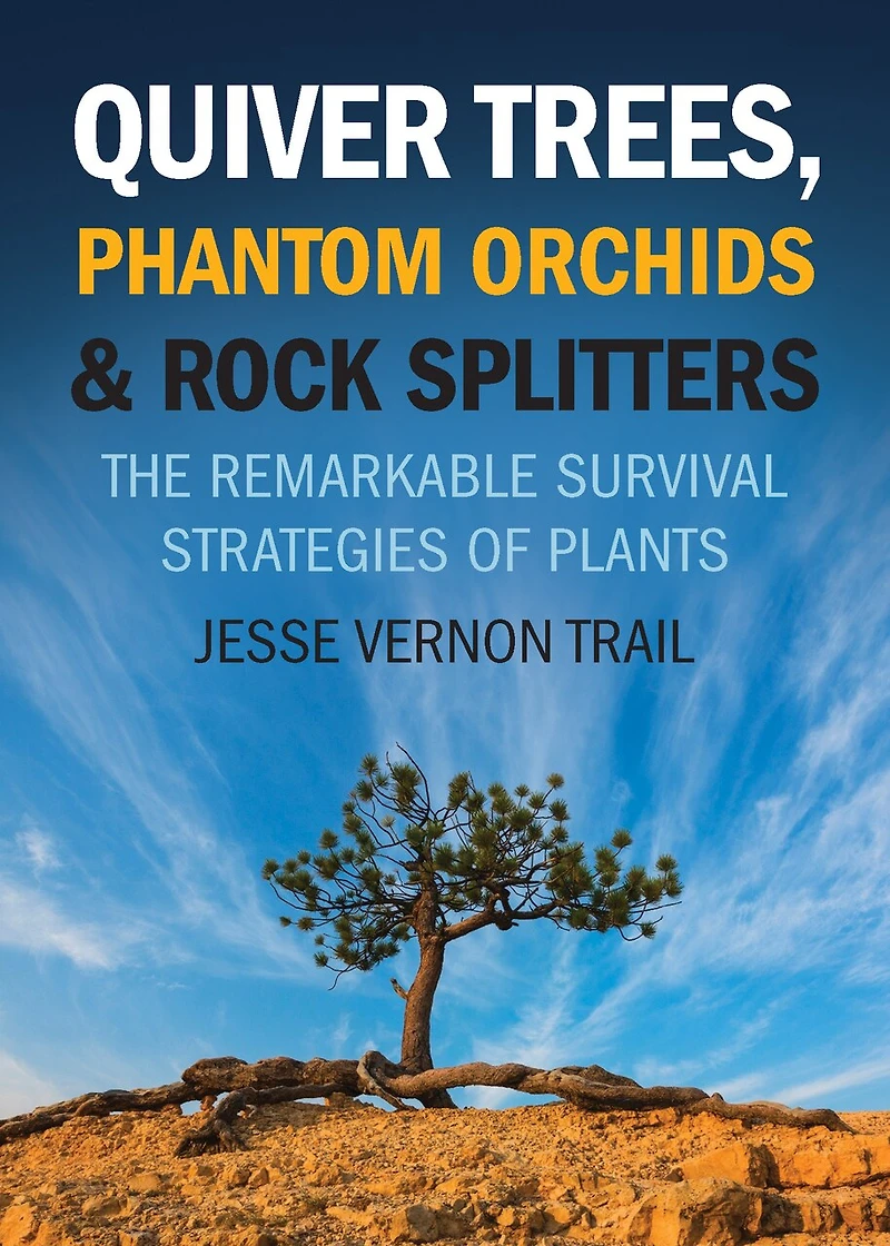 Quiver Trees, Phantom Orchids And Rock Splitters: The Remarkable Survival Strategies Of Plants