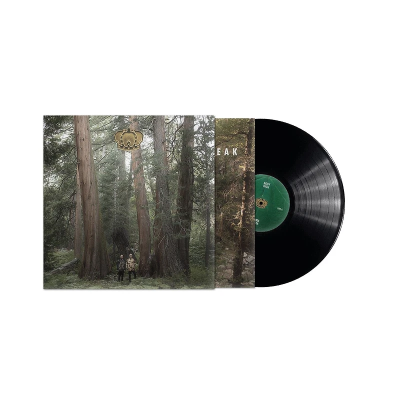 Stand Up And Speak by DJ Dodger Stadium (1 LP)
