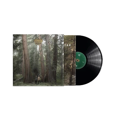 Stand Up And Speak by DJ Dodger Stadium (1 LP)