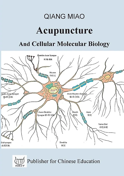 Acupuncture and Cellular Molecular Biology: The Theoretical Basis of Chinese Medicine