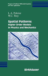 Spatial Patterns: Higher Order Models Physics and Mechanics