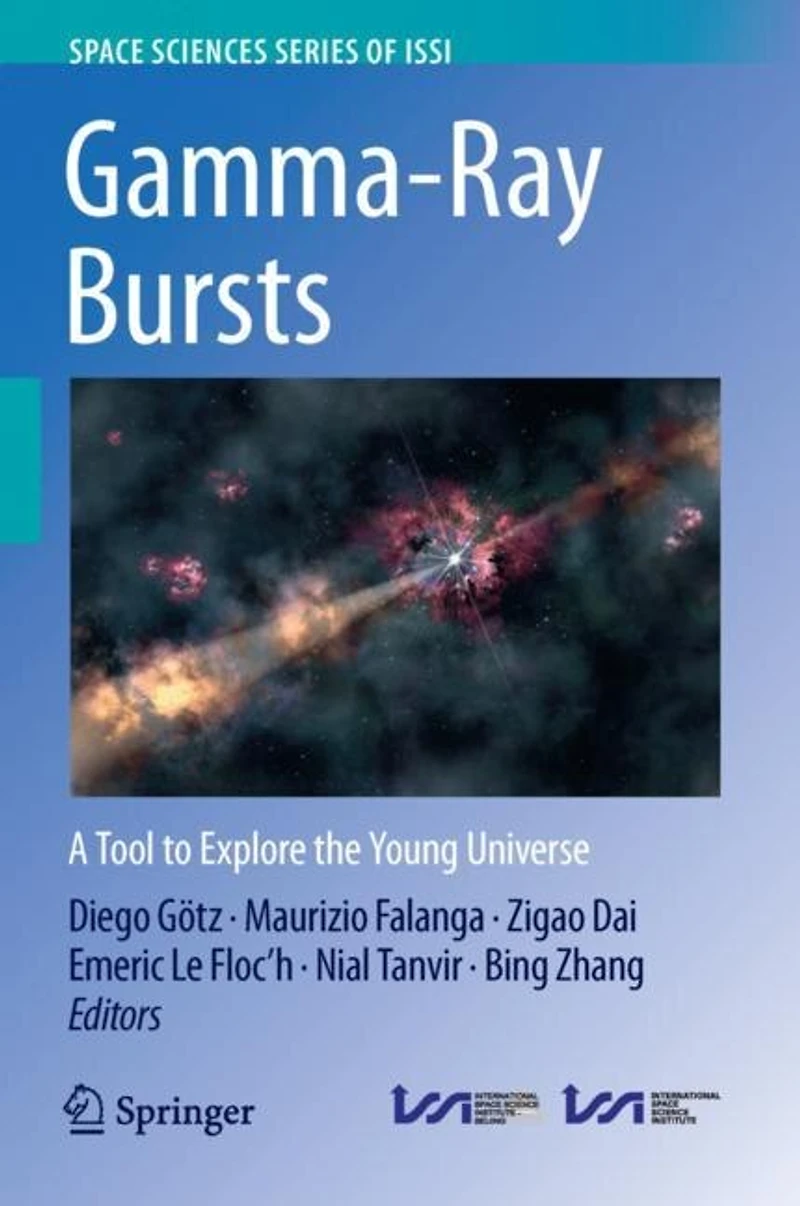 Gamma-Ray Bursts: A Tool to Explore the Young Universe