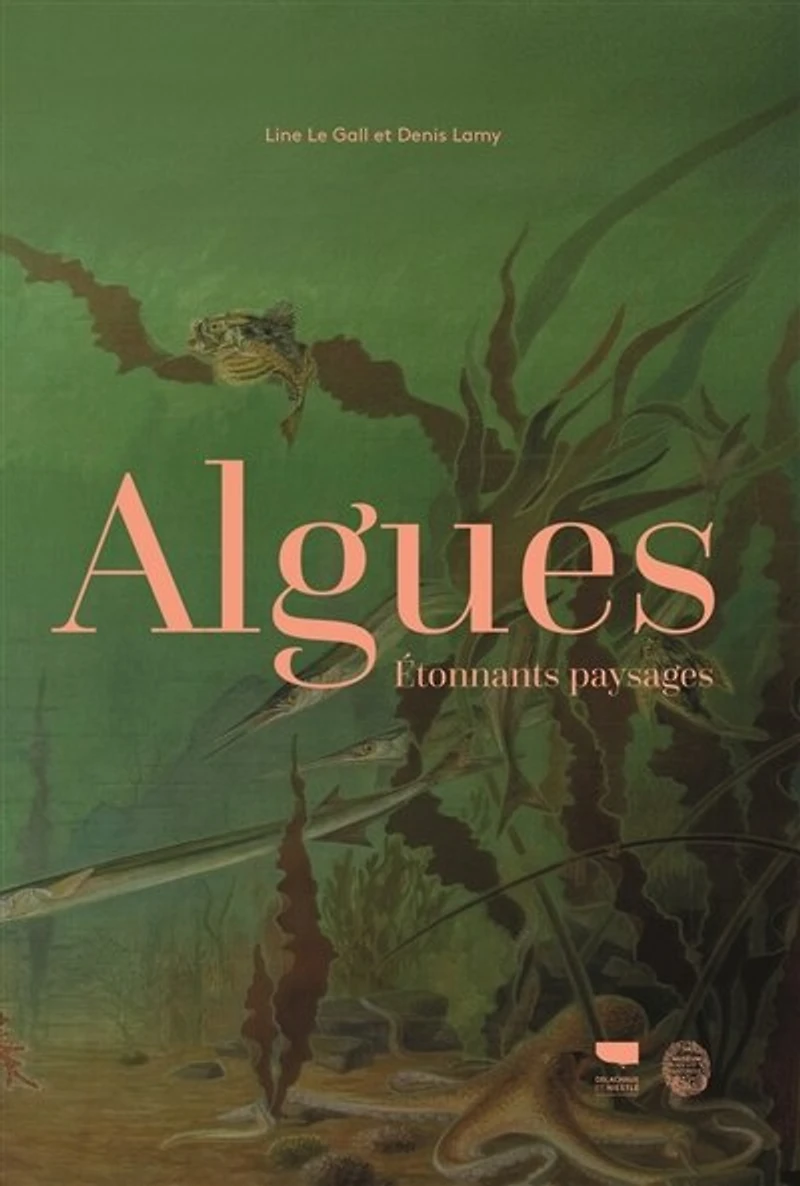 Algues: étonnants paysages