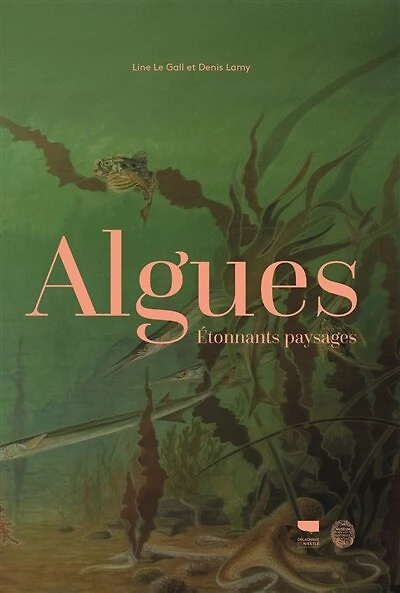 Algues: étonnants paysages