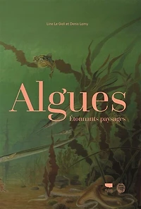 Algues: étonnants paysages