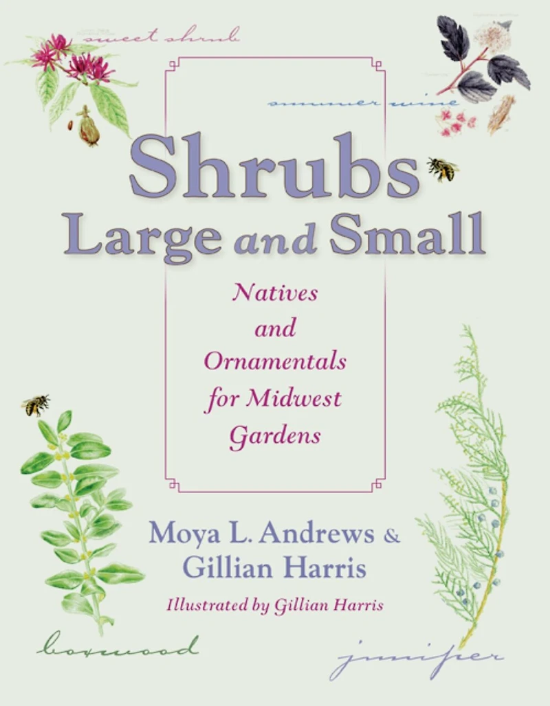 Shrubs Large and Small: Natives Ornamentals for Midwest Gardens
