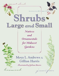 Shrubs Large and Small: Natives Ornamentals for Midwest Gardens