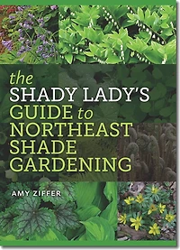 The Shady Lady’s Guide to Northeast Shade Gardening
