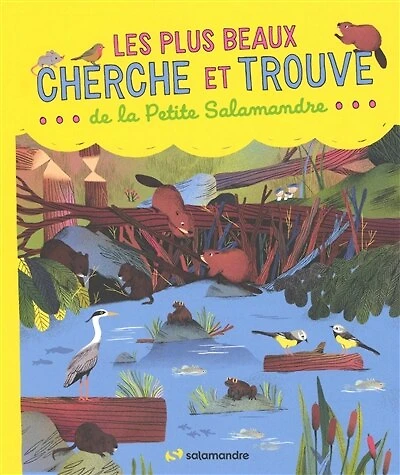 Les plus beaux cherche et trouve de la Petite Salamandre
