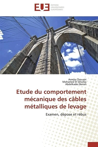 Etude du comportement mécanique des câbles métalliques de levage: Examen, dépose et rébus