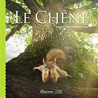 Le chêne