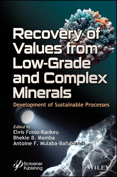 Recovery of Values from Low-Grade and Complex Minerals: Development Sustainable Processes